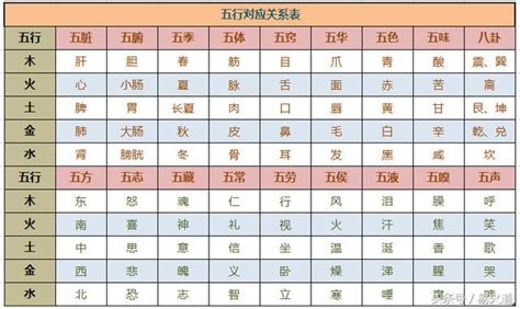 五行職業屬性|細選【八字五行職業】，屬性對應必事半功倍！【社會新鮮人必看】